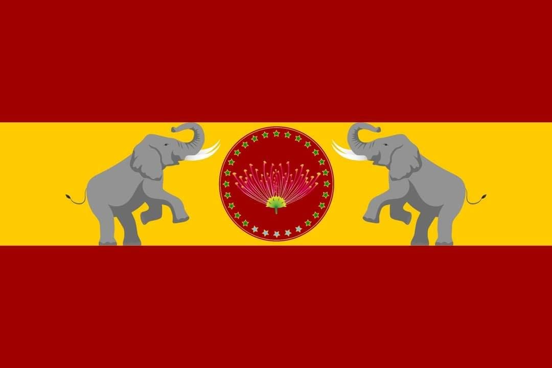 Tamilaga Vettri Kazhagam Flag